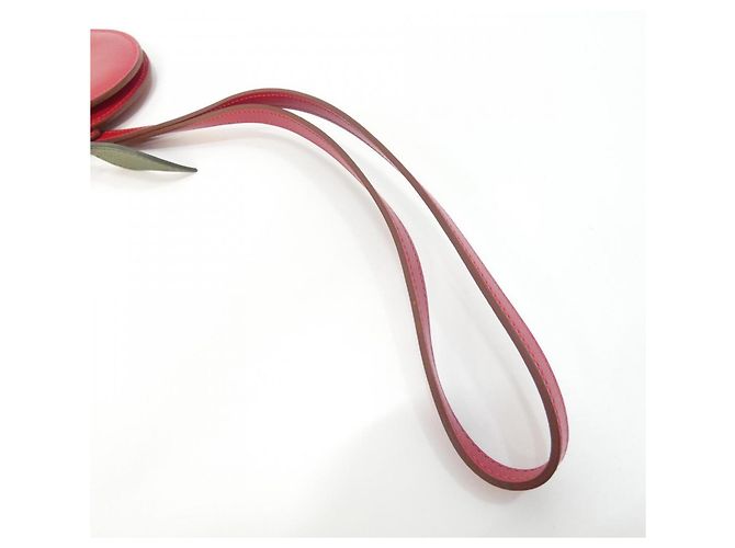 Hermès Hermes POMME Tutti Frutti Handbag Pouch Rosso - vista 6