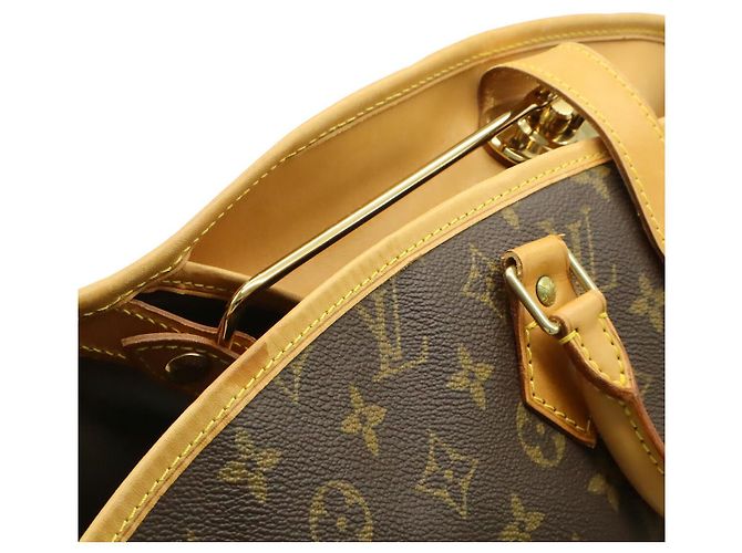Portabiti Louis Vuitton Marrone - vista 5