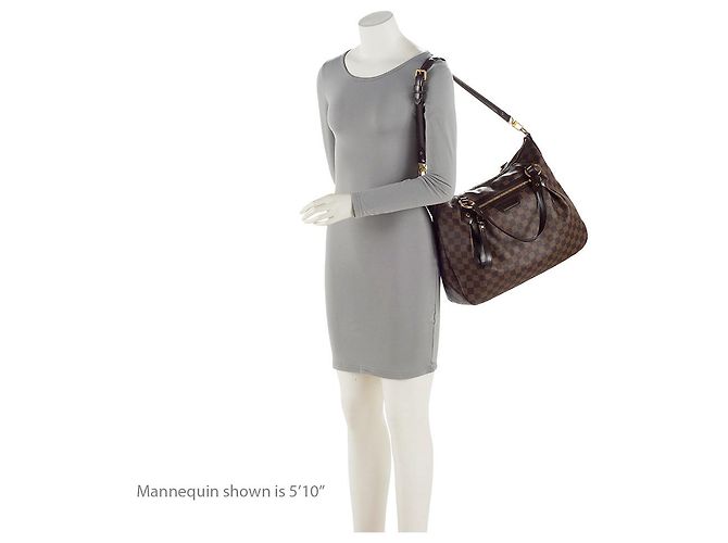 Louis Vuitton Damier Ebene Evora MM Tote Castaño - vista 5