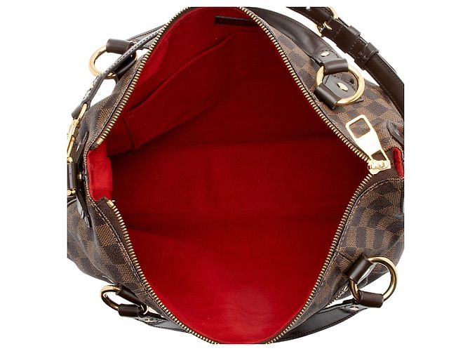 Louis Vuitton Damier Ebene Evora MM Tote Castaño - vista 7