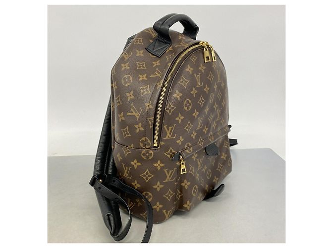 Zaino Louis Vuitton Monogram Palm Springs MM Marrone - vista 2