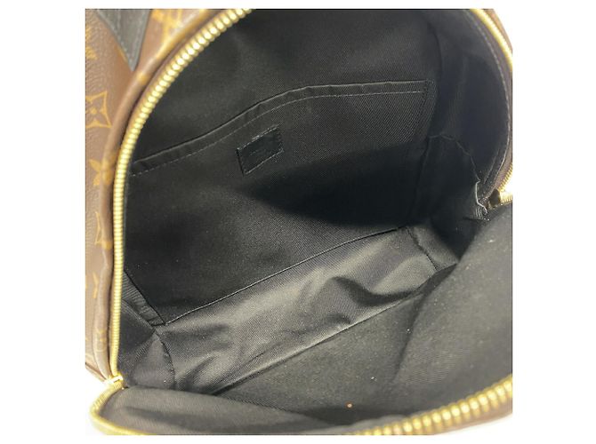 Zaino Louis Vuitton Monogram Palm Springs MM Marrone - vista 4