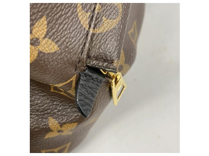 Zaino Louis Vuitton Monogram Palm Springs MM Marrone - vista 8