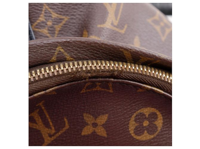 Louis Vuitton Palm Springs PM Rucksack Braun - Ansicht 10