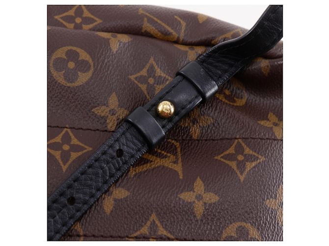 Louis Vuitton Palm Springs PM Rucksack Braun - Ansicht 12