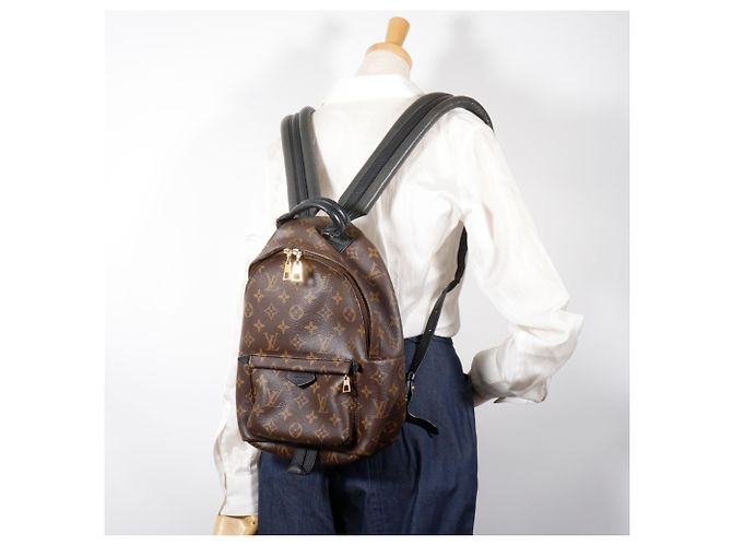 Louis Vuitton Palm Springs PM Rucksack Braun - Ansicht 19