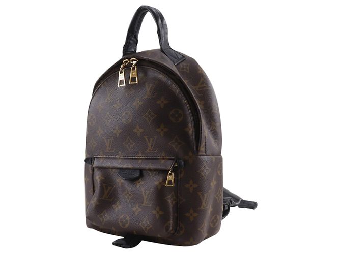 Louis Vuitton Palm Springs PM Rucksack Braun - Ansicht 2