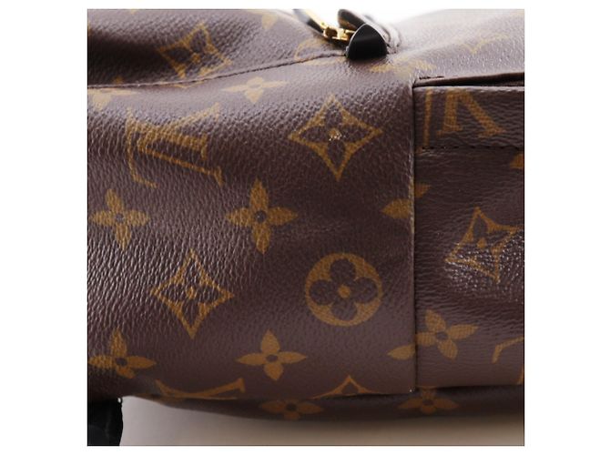 Louis Vuitton Palm Springs PM Rucksack Braun - Ansicht 7