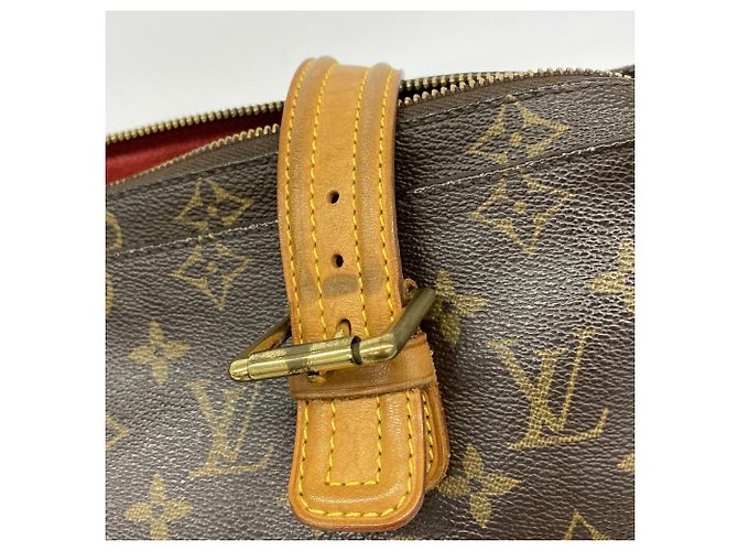Borsa a tracolla Louis Vuitton Monogram Multiplicité Marrone - vista 9
