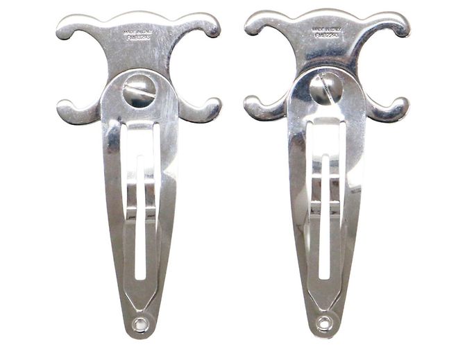 Triomphe Céline Celine Pinzas para el pelo plateadas - Set de 2 Plata - vista 2