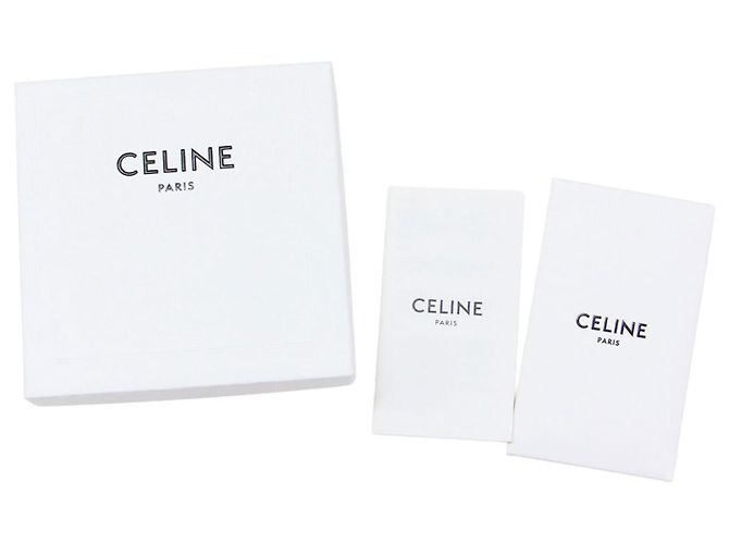 Triomphe Céline Celine Pinzas para el pelo plateadas - Set de 2 Plata - vista 6