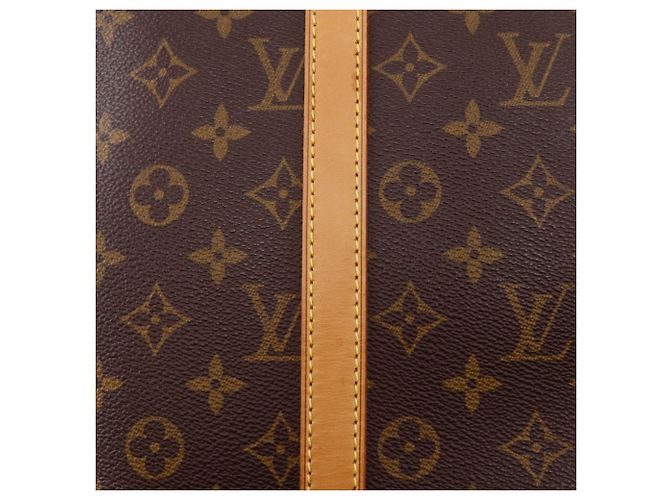 Borsa Boston Louis Vuitton Sirius 50 Marrone - vista 10