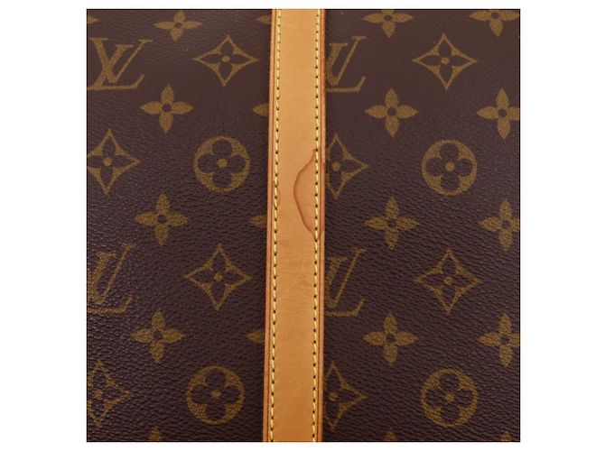 Borsa Boston Louis Vuitton Sirius 50 Marrone - vista 11
