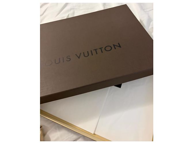 Louis Vuitton Monogram Beige Seiden- und Wollschal - Ansicht 4