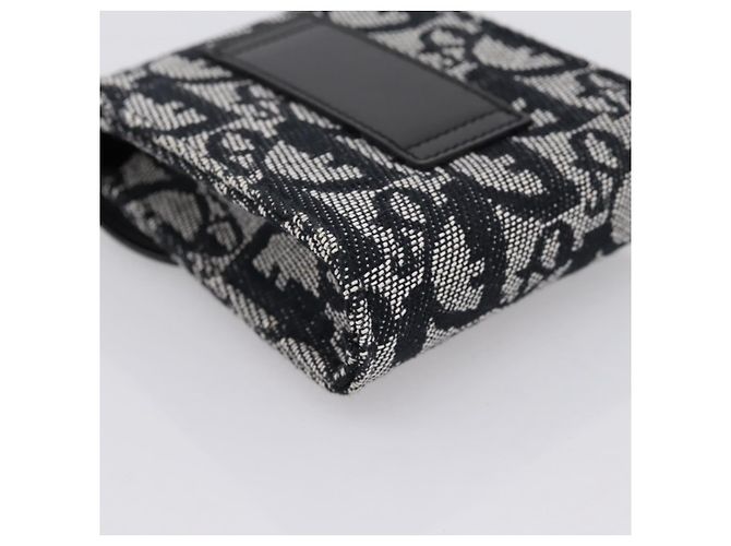 Pouch Saddle Christian Dior Trotter Canvas Grigio Argento Auth 202727V Marrone - vista 11