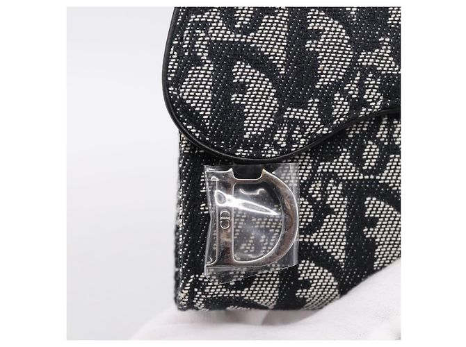 Pouch Saddle Christian Dior Trotter Canvas Grigio Argento Auth 202727V Marrone - vista 12