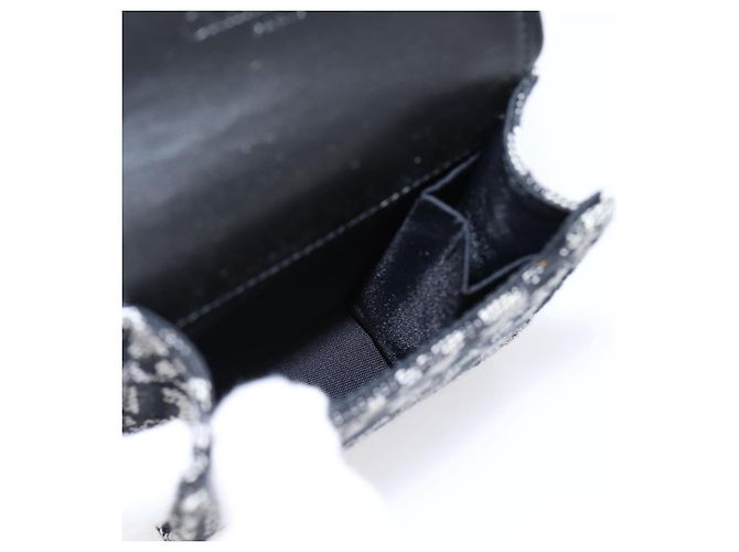 Pouch Saddle Christian Dior Trotter Canvas Grigio Argento Auth 202727V Marrone - vista 15