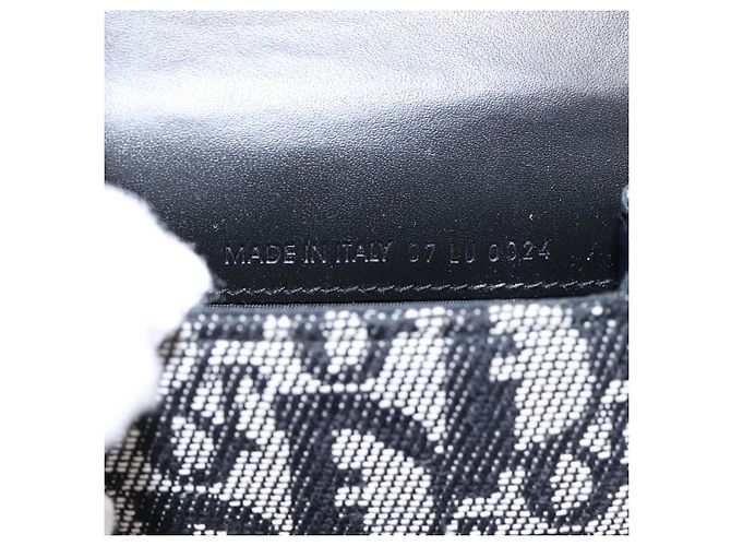 Pouch Saddle Christian Dior Trotter Canvas Grigio Argento Auth 202727V Marrone - vista 17