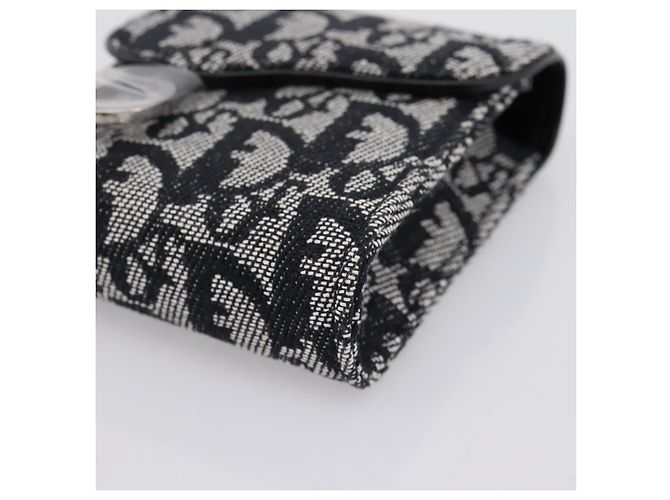 Pouch Saddle Christian Dior Trotter Canvas Grigio Argento Auth 202727V Marrone - vista 8