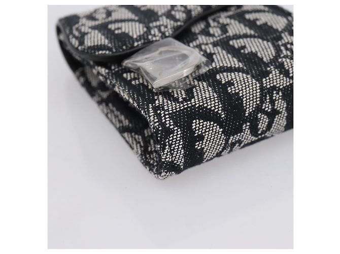 Pouch Saddle Christian Dior Trotter Canvas Grigio Argento Auth 202727V Marrone - vista 9