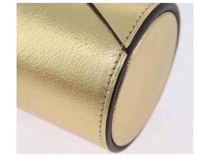 LOUIS VUITTON Monogram Pocrayon Gaston Pen Case Gold LV Auth 202723A Dorado Monograma - vista 15