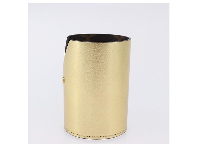 LOUIS VUITTON Monogram Pocrayon Gaston Pen Case Gold LV Auth 202723A Dorado Monograma - vista 3