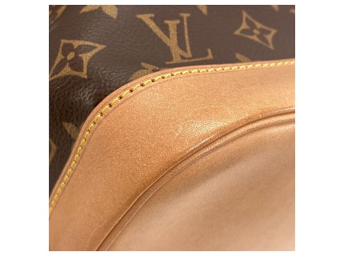 Noe Borsa a tracolla Louis Vuitton Petit Noé Monogramma - vista 14
