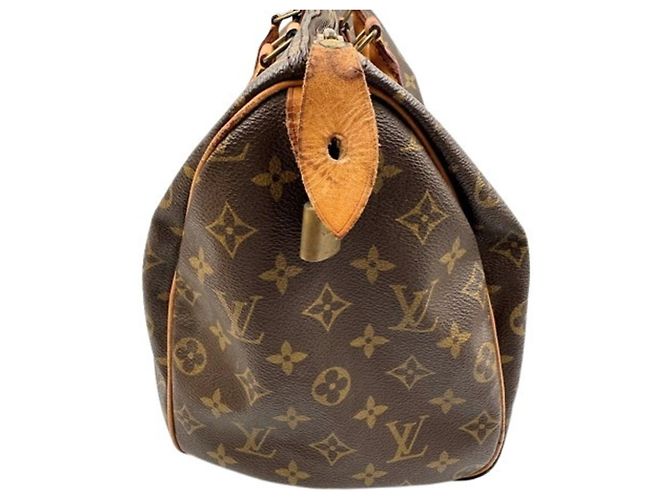 Borsa a mano Louis Vuitton Speedy 35 Boston Marrone - vista 4