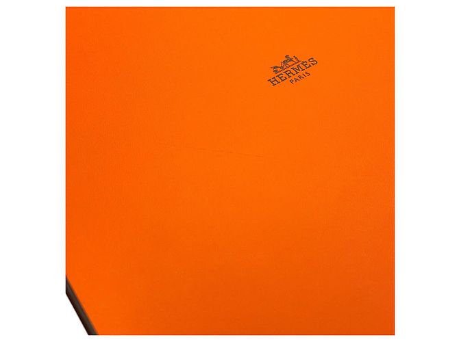Hermès Borsa Hermes Birkin 25 Jaune Ambre Togo Giallo - vista 11
