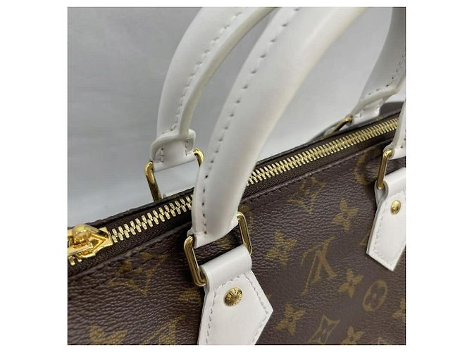Borsa Louis Vuitton Monogram Speedy Bandoulière 25 Marrone - vista 5
