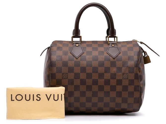 Louis Vuitton Brown Damier Ebene Speedy 25 Marrone - vista 7