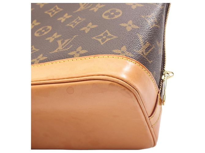 Louis Vuitton Brown Monogram Alma PM Marrom - vista 10
