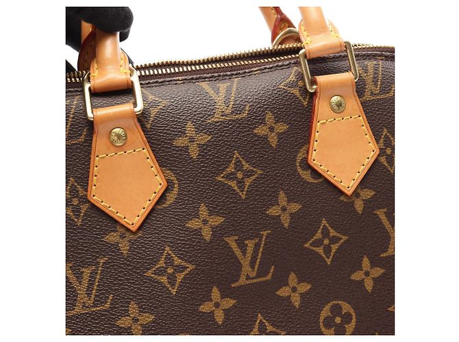 Louis Vuitton Brown Monogram Alma PM Marrom - vista 8
