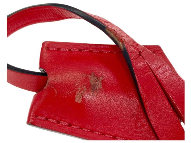 Borsa a mano Louis Vuitton M43553 Flower Tote Monogramma - vista 10
