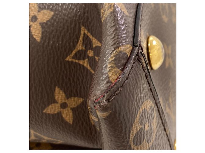 Borsa a mano Louis Vuitton M43553 Flower Tote Monogramma - vista 19