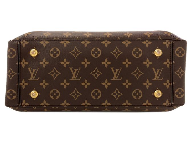 Borsa a mano Louis Vuitton M43553 Flower Tote Monogramma - vista 4