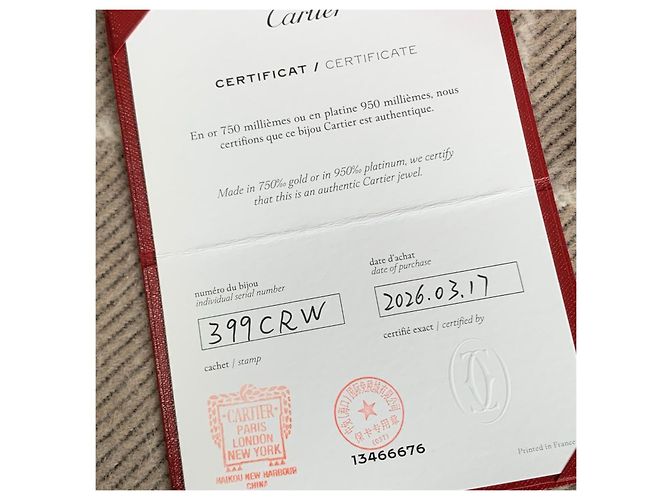 Orecchini Cartier Love doppio anello in platino Argento - vista 5