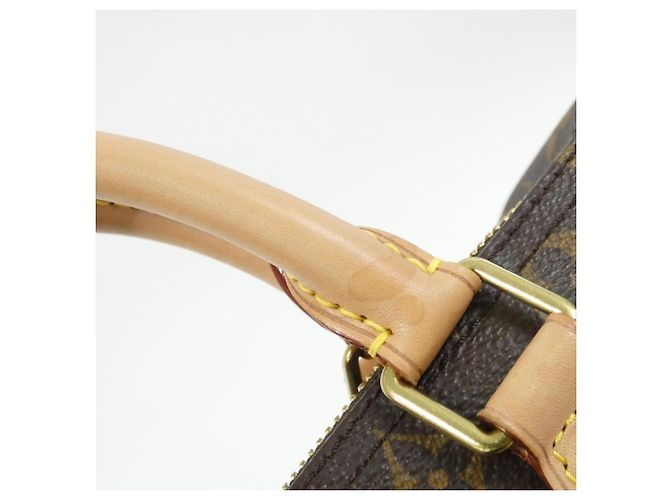Borsa Boston Louis Vuitton Monogram Speedy Bandoulière Marrone - vista 7