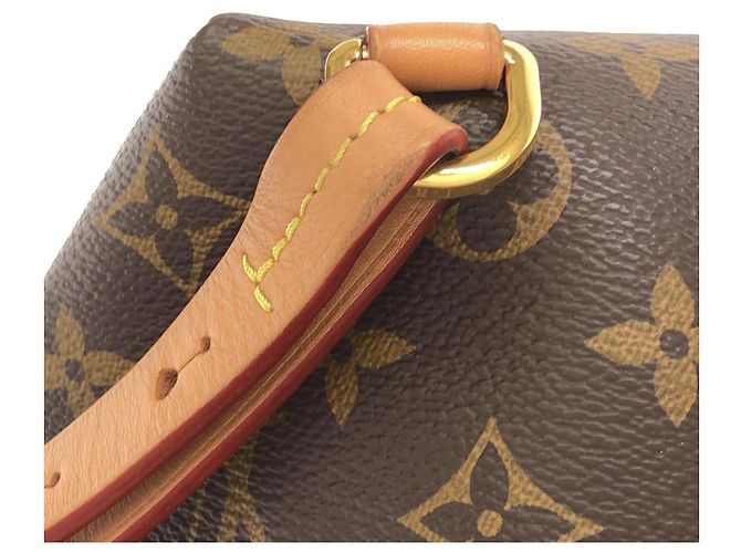 Mochila Louis Vuitton Monogram Montsouris PM Castaño - vista 4