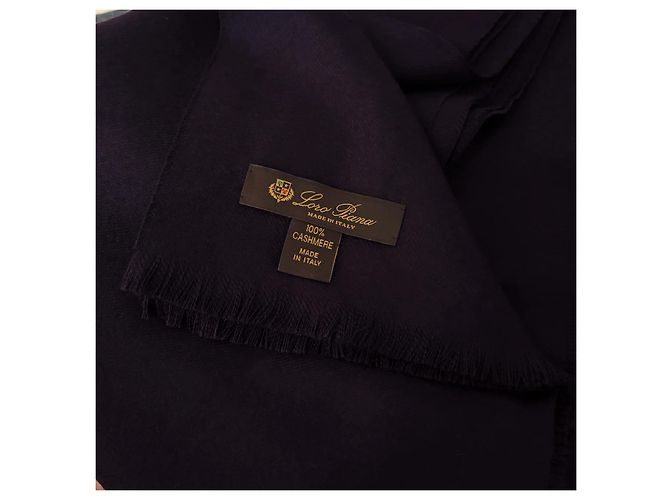 Sciarpa Loro Piana in Cashmere Viola Scuro - vista 6