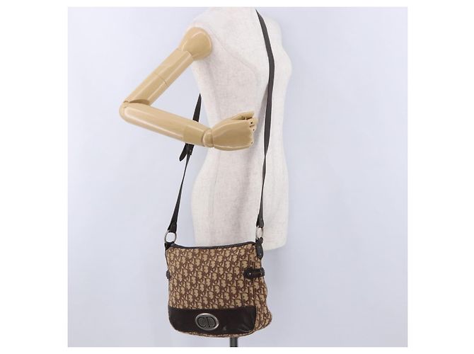 Borsa a tracolla Christian Dior Trotter Canvas Beige Silver Auth ka6123A Argento - vista 29