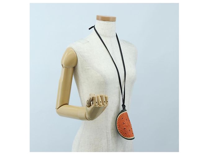 Monedero LOEWE de rafia Colección Paula's Visa Orange Auth bs36956M Naranja - vista 21