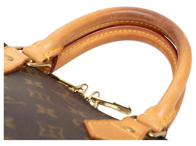 Louis Vuitton Brown Monogram Alma PM Marron - vue 8