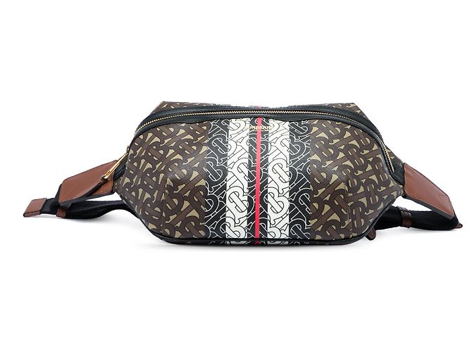 Borsa cintura Burberry Brown TB Monogram E Canvas Stripe Sonny Marrone - vista 3