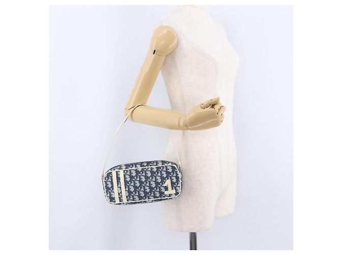 Borsa a mano Christian Dior Trotter PVC Pelle Blu Bianco Auth 201159 - vista 24