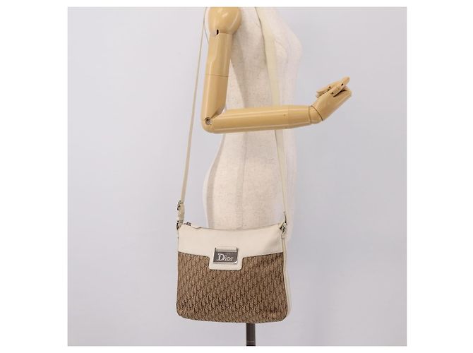 Borsa a tracolla Christian Dior Trotter Canvas Beige Silver Auth ka6062A Argento - vista 24