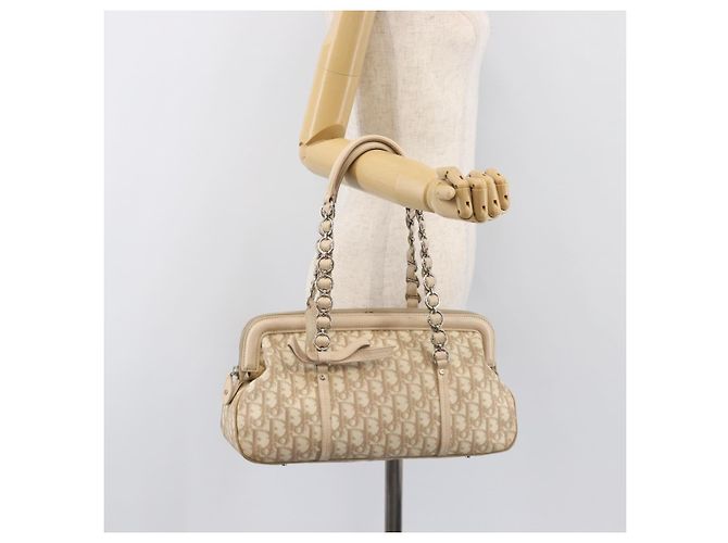 Borsa a mano Christian Dior Trotter Canvas Romantic PVC Beige Silver Auth 202956 Argento - vista 25