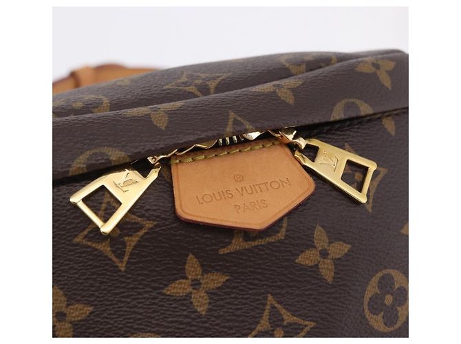 LOUIS VUITTON Monogram Bum Bag Shoulder Bag M43644 LV Auth 203308SAV Monogramma - vista 22