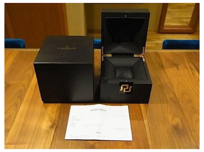 Autre Marque ROGER DUBUIS Excalibur 42 Micro Rotor Chronograph DBEX0451 makerOH done Uomo Argento - vista 19