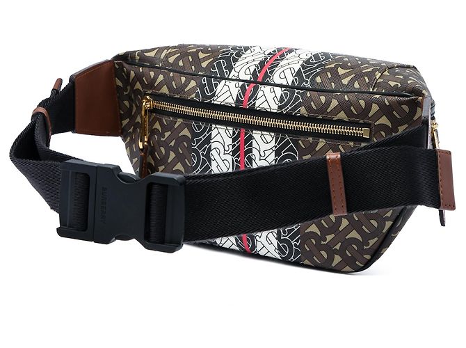 Borsa a cintura Sonny Burberry TB Monogram E Canvas Stripe Marrone - vista 2